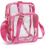 See Thru Multi Compartment Crossbody Bag