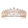 Daisy Blooming Prom Bridal Tiare