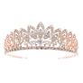 Daisy Blooming Prom Bridal Tiare