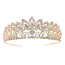 Daisy Blooming Prom Bridal Tiare