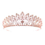 Daisy Blooming Prom Bridal Tiare