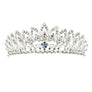 Daisy Blooming Prom Bridal Tiare