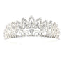 Daisy Blooming Prom Bridal Tiare