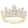 Flower Queen Theme Rhinestone Tiara Crown