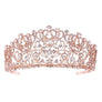 Delicate Rose Vine inspired Tiara