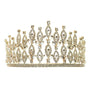 Bloom with Leaves CZ Tiara