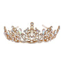 Bloom in the Pot Rhinestone Tiara