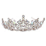 Bloom in the Pot Rhinestone Tiara