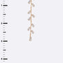 CZ Leaf Drop Delicate Earrings