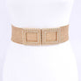 Double Buckle Metallic Faux Straw Elastic Belt