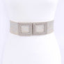 Double Buckle Metallic Faux Straw Elastic Belt