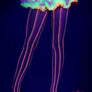Pastel colors fishnet pantyhose (Glow UV Reactive)