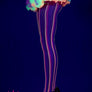 Pastel colors fishnet pantyhose (Glow UV Reactive)