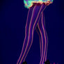 Pastel colors fishnet pantyhose (Glow UV Reactive)