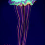 Pastel colors fishnet pantyhose (Glow UV Reactive)