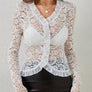 Ruffled V-Neck Long Sleeve Lace Top