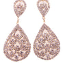 DANGLES EARRING