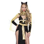 Egyptian Cleopatra 5 Pc Black Sheer Sexy Dress Women's Costume Set Size XL