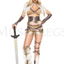 Modern Day Viking Costume