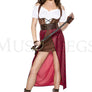Steampunk Pirate