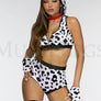 Doggy Dalmation