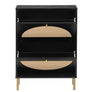 Rattan Shoe Cabinet with 2Flip Drawers,Black Free Standing Storage Racks with Metal Legs,Shoe Organizers Entrance Hallway(Black)