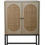 Rattan Shoe Cabinet with 2Flip Drawers,Black Free Standing Storage Racks with Metal Legs,Shoe Organizers Entrance Hallway(Black)