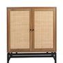 Rattan Shoe Cabinet with 2Flip Drawers,Black Free Standing Storage Racks with Metal Legs,Shoe Organizers Entrance Hallway(Black)