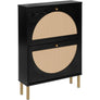 Rattan Shoe Cabinet with 2Flip Drawers,Black Free Standing Storage Racks with Metal Legs,Shoe Organizers Entrance Hallway(Black)