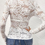 Lace V-Neck Long Sleeve Top
