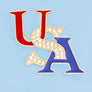 Brooch USA Firework Fashion American Gold Pin
