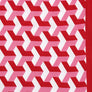 DST Sorority Kimono Red White Block Print Women