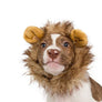 Lion Head Mane Wig Hair Fur Headgear Small Cat Dog Puppy Pet Costume Cosplay