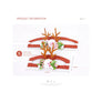 Pet Elk Cat Antler Headband Flower Pet Headwear Christmas Deco Costume Cosplay