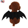 Black Bat Wing Cat Kitten Costume Puppy Cute Funny Pet Costume Cosplay Halloween