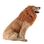 Pet Dog Puppy Cat Fur Wig Lion Costume Halloween Clothes Dress Up Cosplay Hat