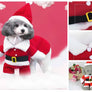 Christmas Santa Claus Pet Coat Dog Cat Suit Dress Up Xmas Skirts Costume Cosplay