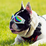 Dog Cat Goggles Eye Wear UV Protection Foldable Adjustable Waterproof Pet Sungla