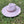 WIDE BRIM DANDY PANAMA HAT FOR WOMEN