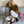 Good Kitty - Women's Sherpa Slippers Socks