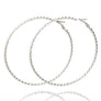 Hypo Allergenic Twisted Basic Hoop Earrings