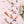 8CFB78B0BEE112524E43EB604B26922B/16108820_c0e65ad8-e659-478e-9a54-e222f8f5db4b.jpg