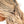 8CFB78B0BEE112524E43EB604B26922B/16215858_5f4ff785-f38d-474c-9693-c80e373b1f9d.jpg