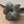 large flower hair claw clip