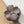 Matte color coated flower hair claw clip