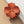 Matte color coated flower hair claw clip