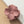Matte color coated flower hair claw clip