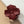 Matte color coated flower hair claw clip