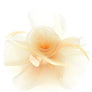 Flower Mesh Flapper Fascinator s8