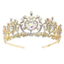 Harf Shaped Flower Bud Rhinestone Tiara